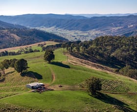 Rural / Farming commercial property for sale at 'Gilmore Braes' 1 Forsters Road Batlow NSW 2730