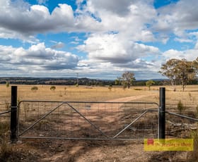 Rural / Farming commercial property sold at 1530 Henry Lawson Drive Mudgee NSW 2850