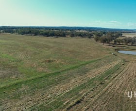 Rural / Farming commercial property sold at 6090 Gwydir Highway Inverell NSW 2360