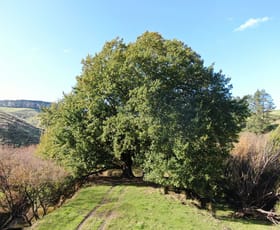 Rural / Farming commercial property sold at 1180 Wild Dog Valley Road Wild Dog Valley VIC 3953