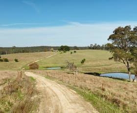 Rural / Farming commercial property sold at 115 Woorara Road Glenaladale VIC 3864