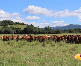 Rural / Farming commercial property sold at Japoonvale QLD 4856