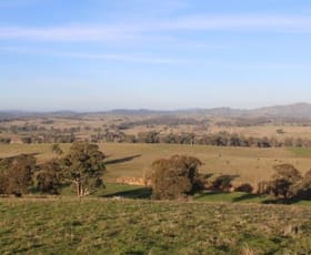 Rural / Farming commercial property sold at 601 Ellerslie Road Ellerslie NSW 2729