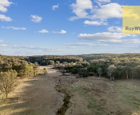 Rural / Farming commercial property sold at Lot 98 Windellama Road Goulburn NSW 2580