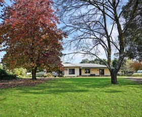 Rural / Farming commercial property sold at 7265 Hamilton-Port Fairy Road Hamilton VIC 3300