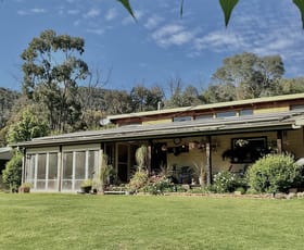Rural / Farming commercial property for sale at 74 Tibuc Road Coonabarabran NSW 2357