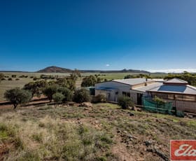 Rural / Farming commercial property sold at 61 Eastough-Yetna Road Yetna WA 6532
