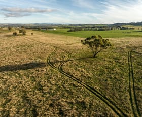 Rural / Farming commercial property sold at 'Myoora' 2263 Oura Road Wagga Wagga NSW 2650