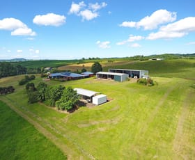 Rural / Farming commercial property sold at 97 Nerada Rd East Palmerston QLD 4860