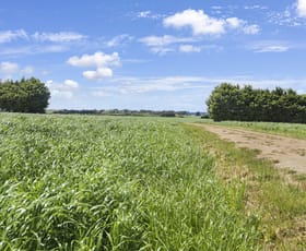 Rural / Farming commercial property sold at 30 Simons Lane Leongatha South VIC 3953