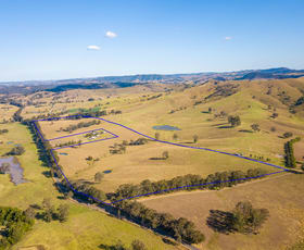 Rural / Farming commercial property sold at Lot 12 Henneys Road Dungog NSW 2420
