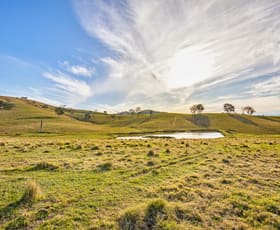 Rural / Farming commercial property sold at Lot 13 Henneys Road Dungog NSW 2420