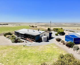 Rural / Farming commercial property for sale at 17499 Flinders Highway Elliston SA 5670