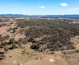 Rural / Farming commercial property sold at 291 Pyangle Rd Rylstone NSW 2849