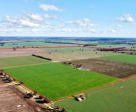 Rural / Farming commercial property sold at 157 Muirs Road Temora NSW 2666