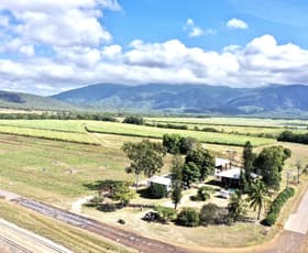 Rural / Farming commercial property for sale at 56 Bahr Road Shirbourne QLD 4809