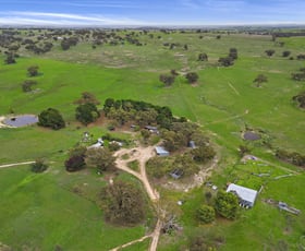 Rural / Farming commercial property for sale at 20 Bradford Road Baringhup VIC 3463