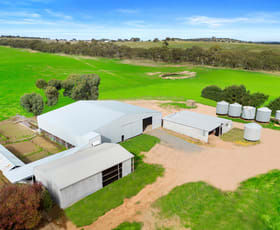 Rural / Farming commercial property for sale at 20 Bradford Road Baringhup VIC 3463