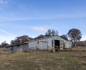 Rural / Farming commercial property sold at Lot 198 Pyramul Road Pyramul NSW 2850