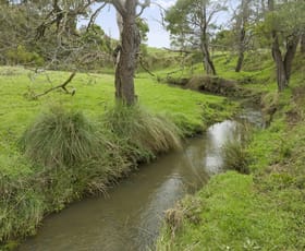 Rural / Farming commercial property sold at 500-620 Woolshed Road Woodfield VIC 3715