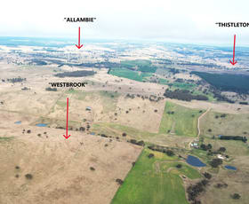 Rural / Farming commercial property sold at Black Springs NSW 2787