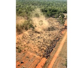 Rural / Farming commercial property for sale at . Dorisvale Station Claravale NT 0822
