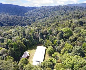 Rural / Farming commercial property sold at 1556 Beatrice Way Ravenshoe QLD 4888