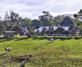 Rural / Farming commercial property for sale at 19 Gully Road Nowa Nowa VIC 3887