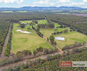 Rural / Farming commercial property sold at 1113 Settlement Road Narrikup WA 6326