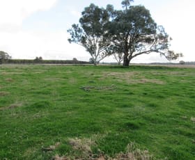 Rural / Farming commercial property sold at 'Bringa'/367 Heriots Road Cookardinia NSW 2650
