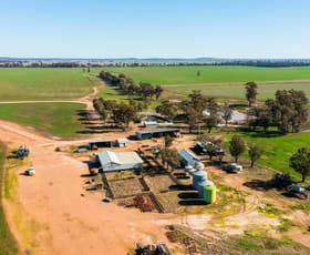 Rural / Farming commercial property for sale at 795 Younga Plains Rd West Wyalong NSW 2671