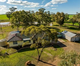 Rural / Farming commercial property for sale at 795 Younga Plains Rd West Wyalong NSW 2671