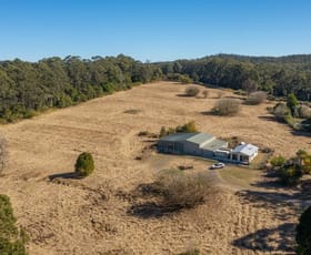 Rural / Farming commercial property for sale at 56 Billabong Drive Sancrox NSW 2446