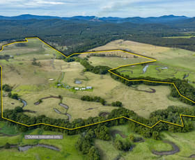 Rural / Farming commercial property for sale at 345 Markwell Back Road Bulahdelah NSW 2423