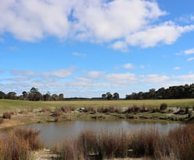 Rural / Farming commercial property sold at 5850 Clay Wells Road Wattle Range SA 5280