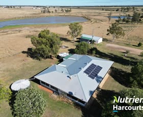 Rural / Farming commercial property sold at * Arcadia * Chances Plain Road Chinchilla QLD 4413