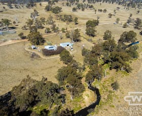 Rural / Farming commercial property for sale at 1469 Bezzants Road Deepwater NSW 2371