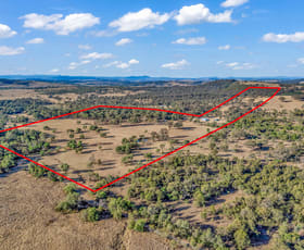 Rural / Farming commercial property for sale at 489 Redmanvale Road Jerrys Plains NSW 2330
