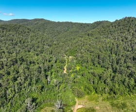 Rural / Farming commercial property sold at 62 Cells Road Number One NSW 2424