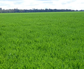 Rural / Farming commercial property sold at TYRONE Yuma Road Castlereagh Hwy Coonamble NSW 2829