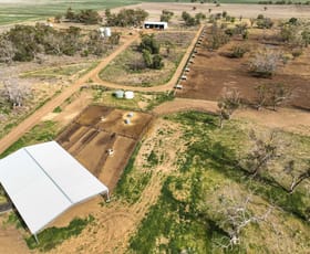 Rural / Farming commercial property for sale at TYRONE 2471 Castlereagh Hwy Coonamble NSW 2829