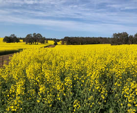 Rural / Farming commercial property sold at 25 Nebrikinning Road Cuballing WA 6311