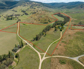 Rural / Farming commercial property sold at 182 Shannons Road Jingellic NSW 2642