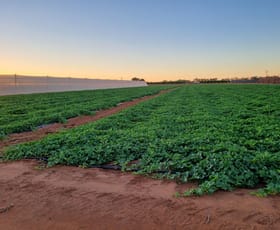 Rural / Farming commercial property for sale at 138 North River Road North Plantations WA 6701