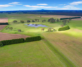 Rural / Farming commercial property sold at 462 Chrome Road Branxholme VIC 3302