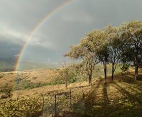 Rural / Farming commercial property sold at Lot 41 Stone Lane Tenterfield NSW 2372