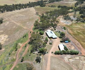 Rural / Farming commercial property for sale at 5157 York-Williams Road West Pingelly WA 6308