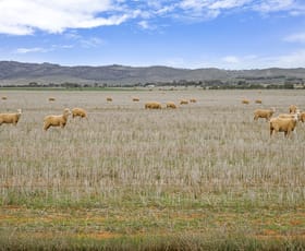 Rural / Farming commercial property sold at 'Nutts' Minburra Road Orroroo SA 5431