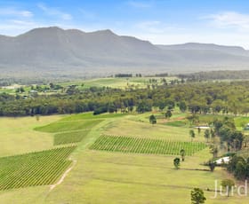 Rural / Farming commercial property for sale at 861 & 913 Hermitage Road Pokolbin NSW 2320