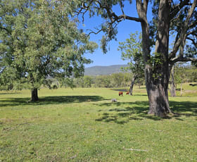 Rural / Farming commercial property sold at 370 Torryburn rd Torryburn via Vacy NSW 2421